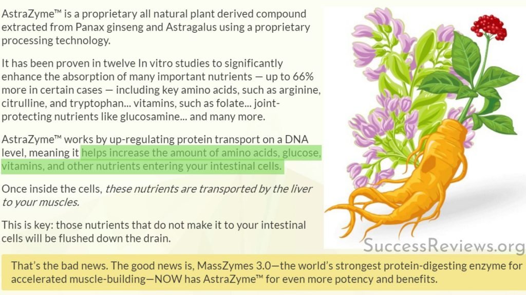 Masszymes AstraZyme