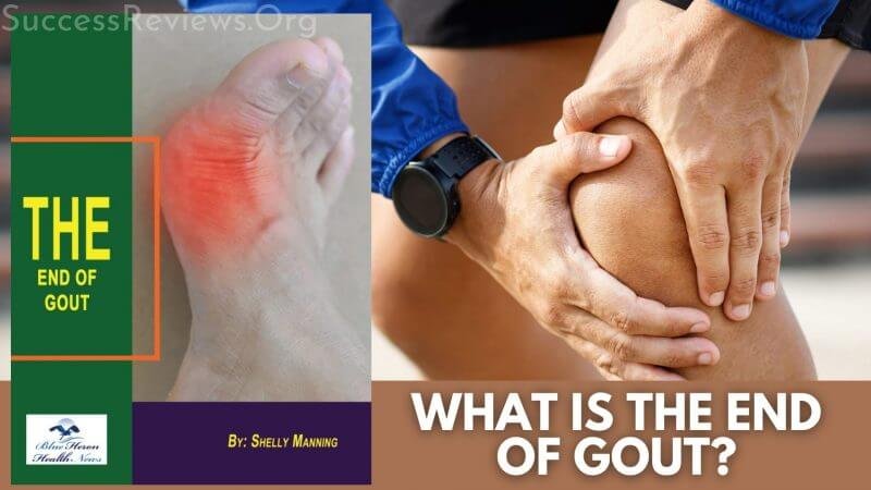 End Of Gout what is the end of gout?