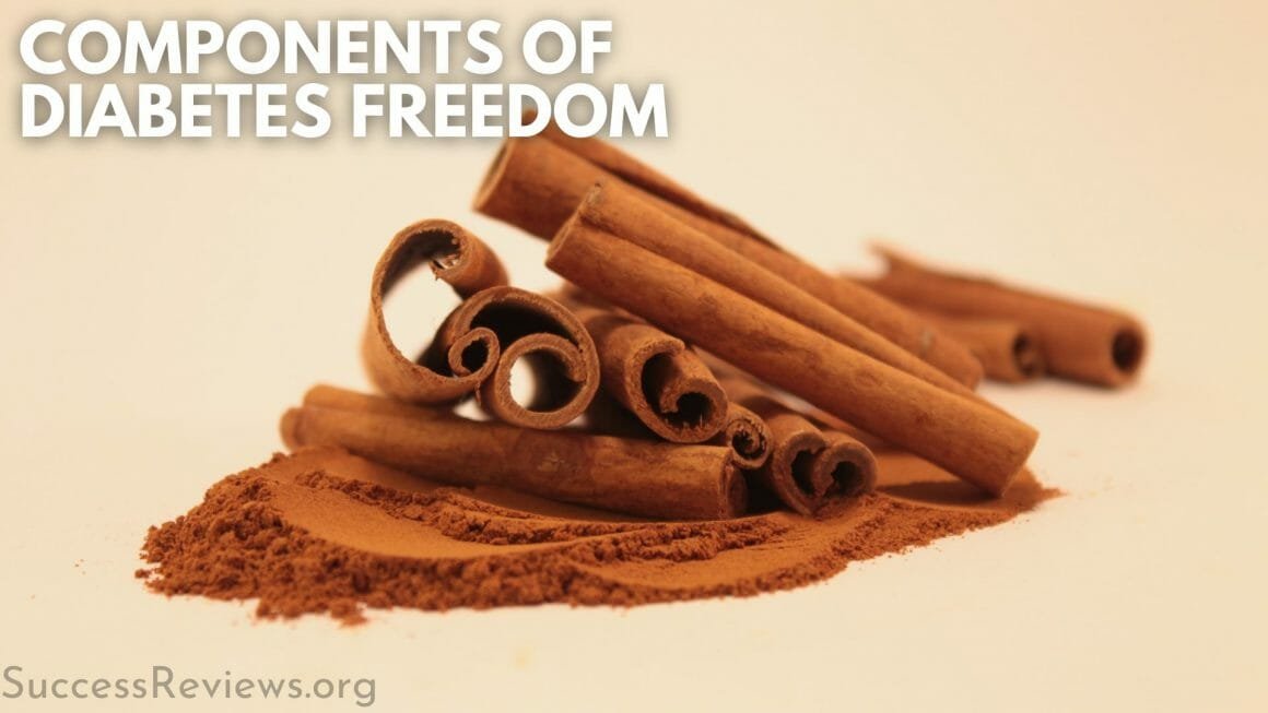 Diabetic Freedom Program components of diabetes freedom