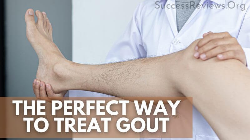 End of Gout the perfect way to treat gout