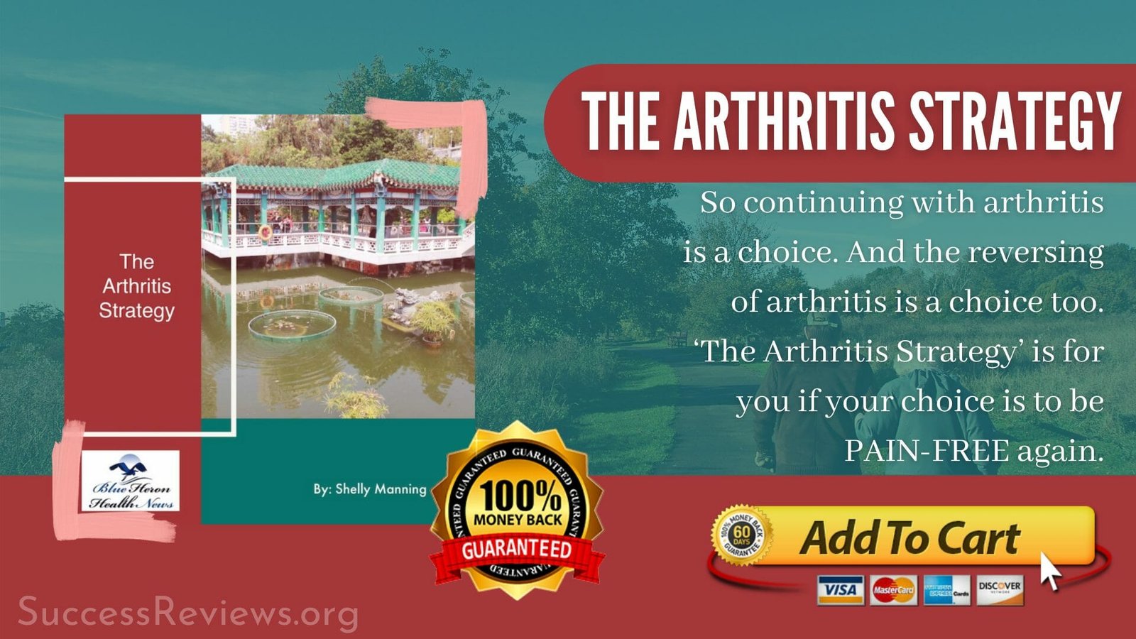 The Arthritis Strategy Pain Free