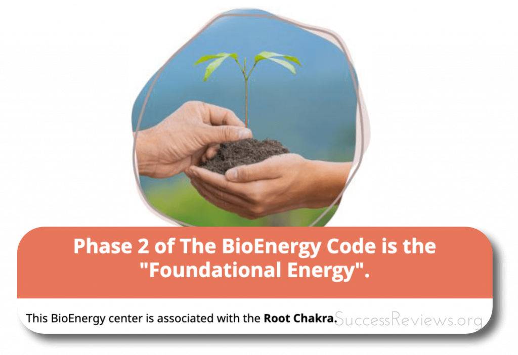 Bioenergy Code Phase 2