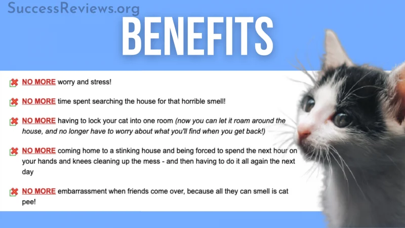 Cat Spraying No More Benefits