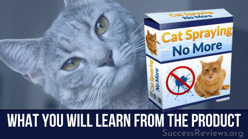 Cat spraying no more What You Will learn