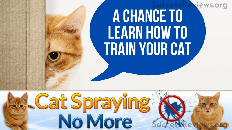 Cat spraying no more a chance to learn how to train your cat