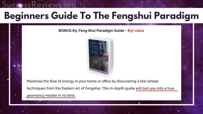 Deluxe Archetype Report Beginners Guide To The Fengshui Paradigm