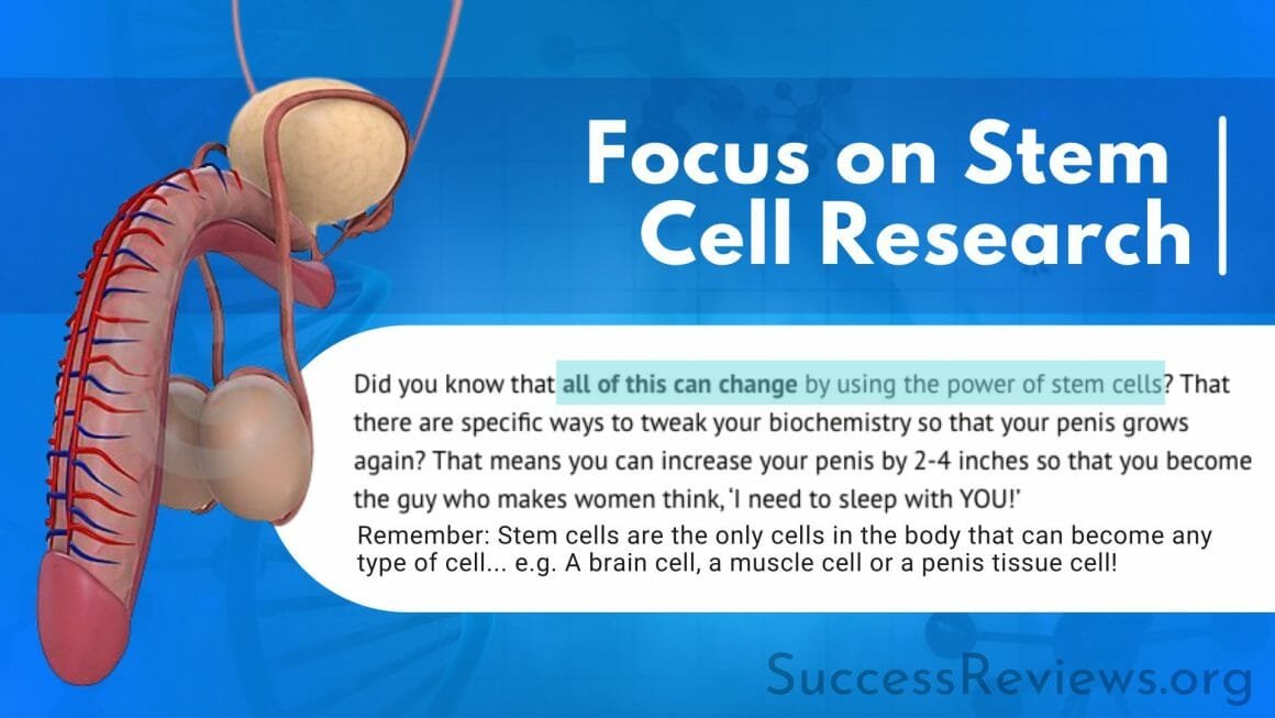 Penis Enlargement Remedy Focus on Stem Cell Research