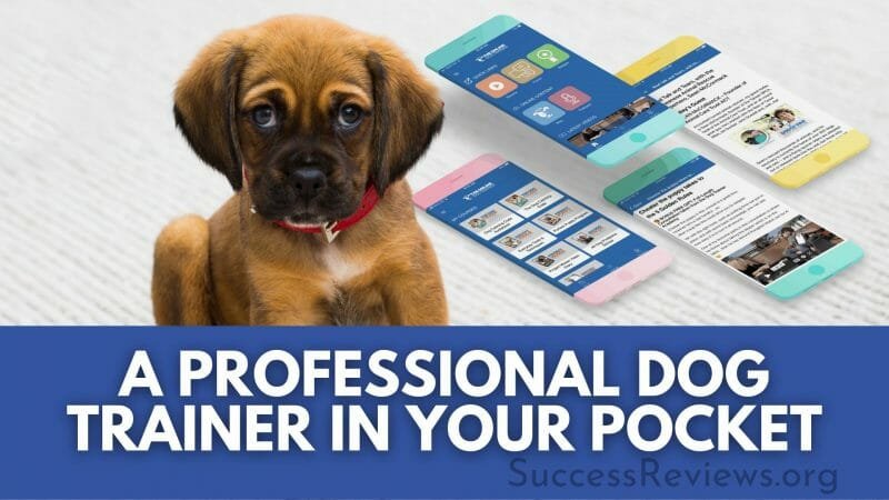 The Online Dog Trainer a professional dog trainer in your pocket